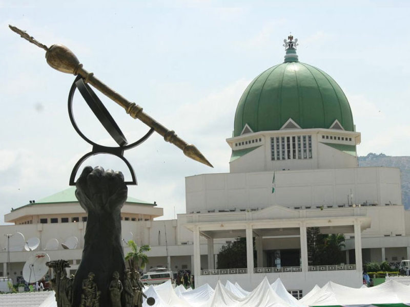 NASS audit report