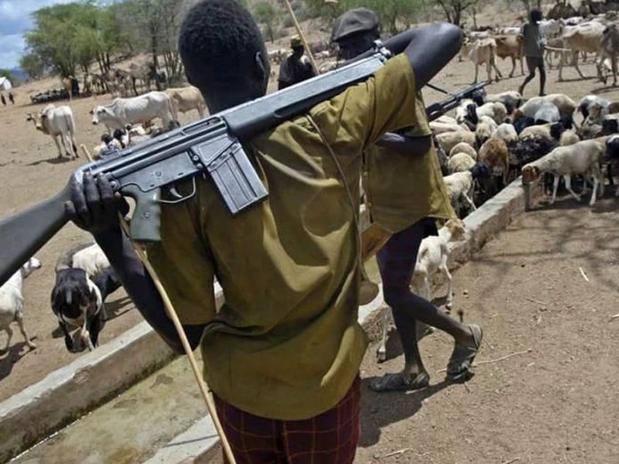 Herdsmen On Revenge Mission Kill 12 Farmers, Burn Houses In Nasarawa
