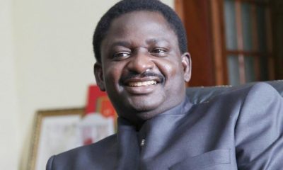 Adesina appointment