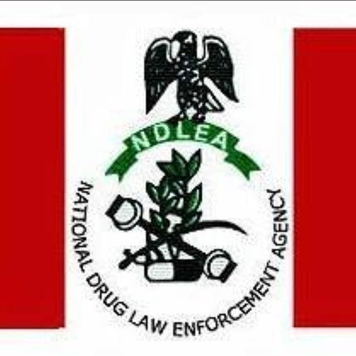 NDLEA Arrests