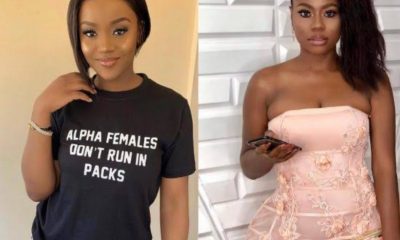Sophia Momodu Reacts To Reports Of Chioma Fighting With Davido For Visiting Her House