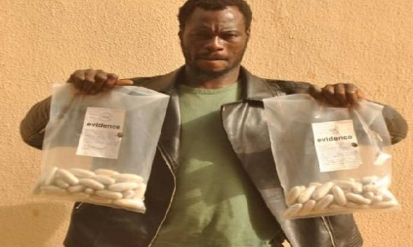 Drug Trafficker Arrested With N1bn Worth Of Cocaine In Sokoto