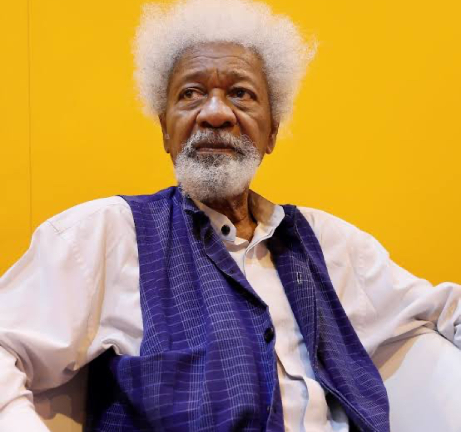 Stop Being Timid, Demand For More Autonomy, Says Soyinka