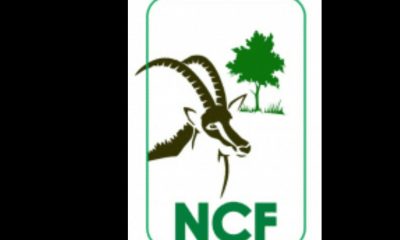 NCF, Keystone Bank, collaborate on tree planting