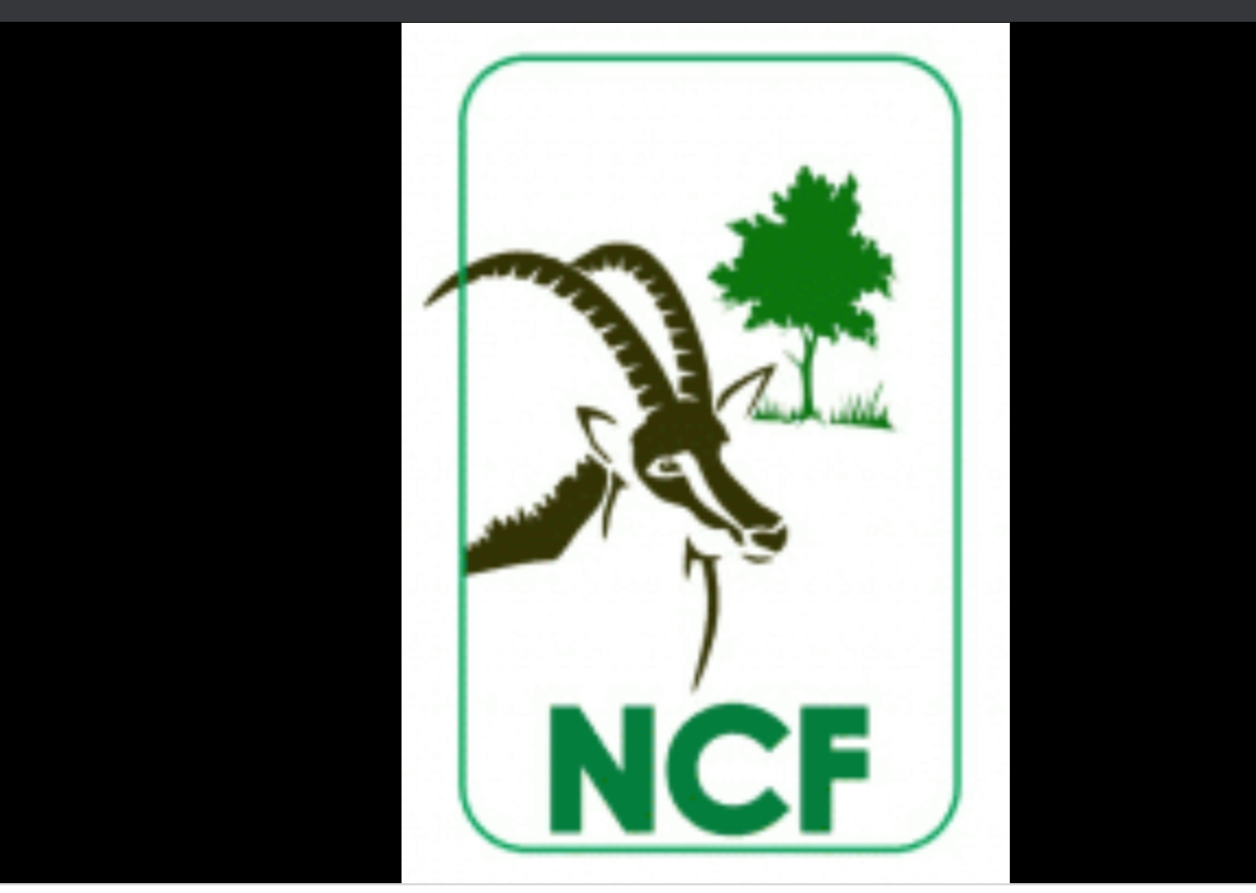 NCF, Keystone Bank, collaborate on tree planting