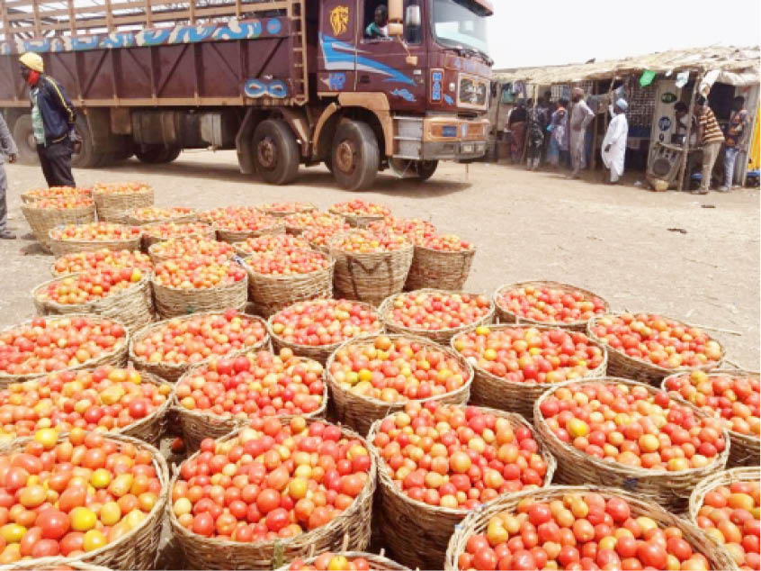 Prices Tomatoes Vegetables Kano