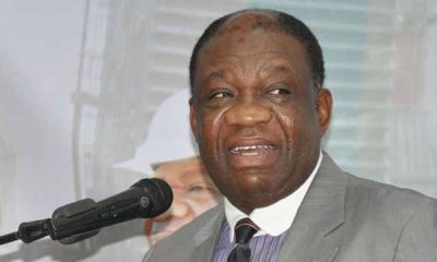 Why Many Nigerian Leaders Achieve Little In Office – Ex-Power Minister