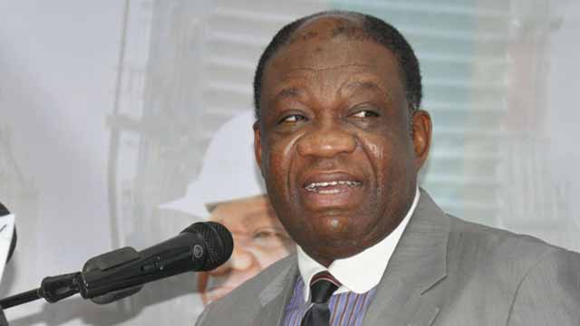 Why Many Nigerian Leaders Achieve Little In Office – Ex-Power Minister