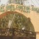 JUST IN: Strange Sickness Hits Sokoto Girls College, 30 Students Hospitalised