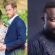 Meghan May Divorce Prince Harry In Future – Okon Lagos