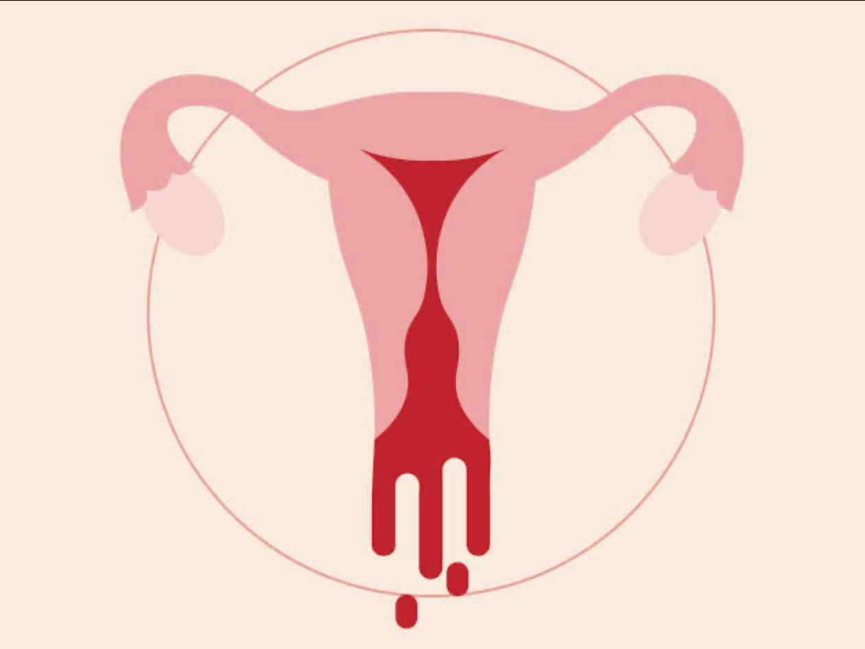Here Is Why Your Periods Are So Heavy