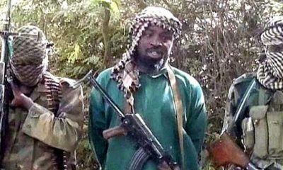 Shekau concubines Boko Haram
