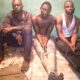 How Three-robbery Gang Arrested In Port Harcourt
