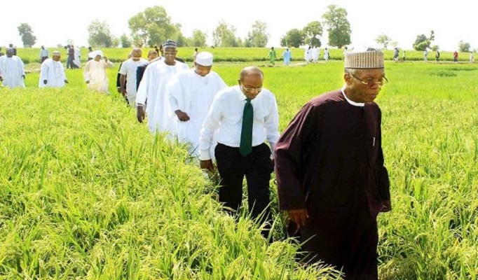 Emefiele agriculture