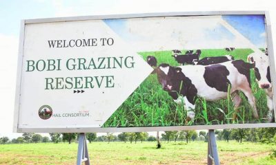 Grazing Reserves