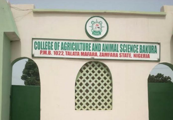 Zamfara College kidnap