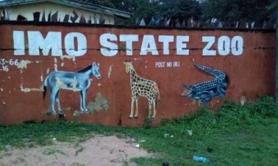 Starvation Imo Zoo