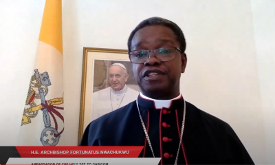 Pope Francis Nwachukwu UN