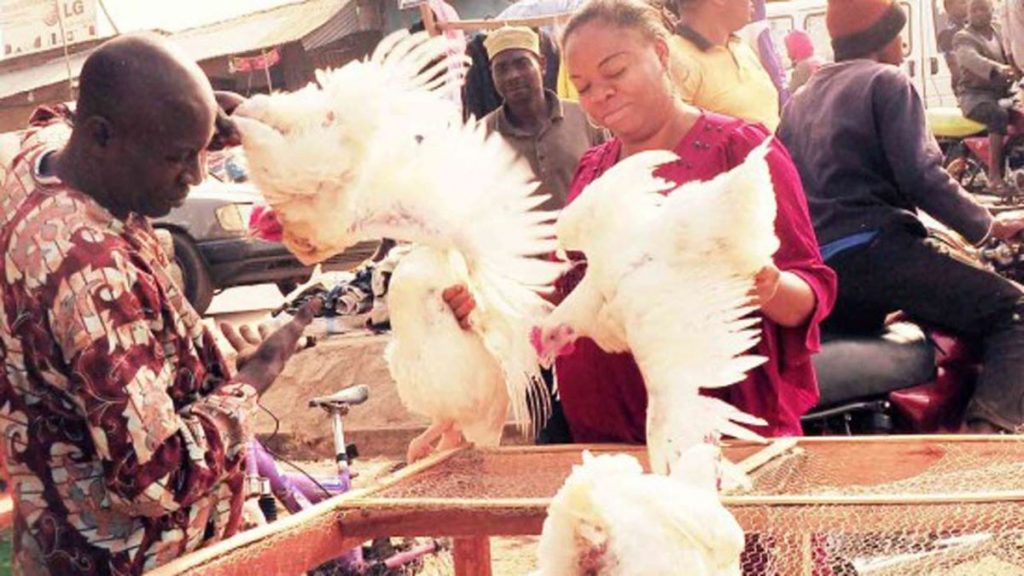 Nigerians Christmas chicken