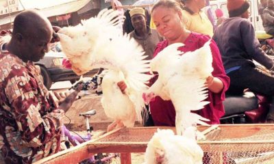 Nigerians Christmas chicken