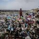 Cyprus Probes Dumping Of Dead Zoo Animals In Landfill