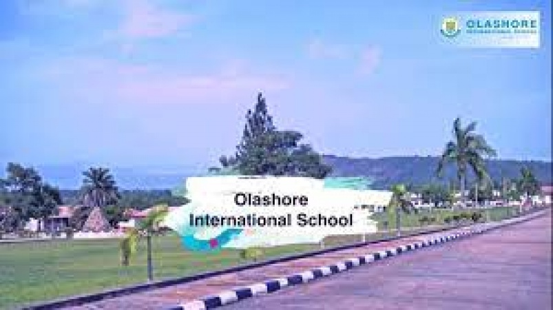 Sexual assault Olashore