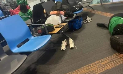 Falconets slept at Airport