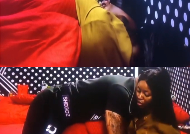 BBNaija: Heartbroken Bella tears up after ending relationship with Sheggz