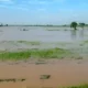 Kano flood