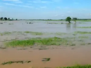 Kano flood