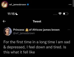 James Brown sextape