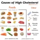Cholesterol Foods
