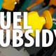 Fuel subsidy