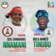 Nnamani Tinubu campaign