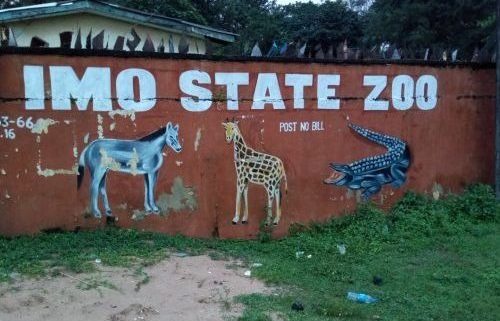 Imo zoo