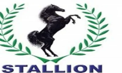 Stallion Debt