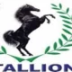 Stallion Debt