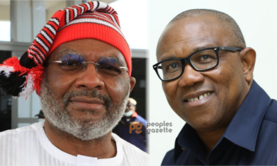 What Peter Obi Is Trying To Achieve With Petition Against Tinubu's Victory - Ex-Gov