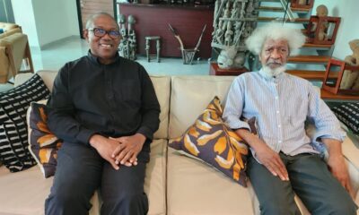 Soyinka Labour Party