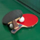 African Table Tennis Championship