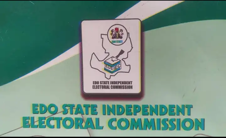 local government election in Edo