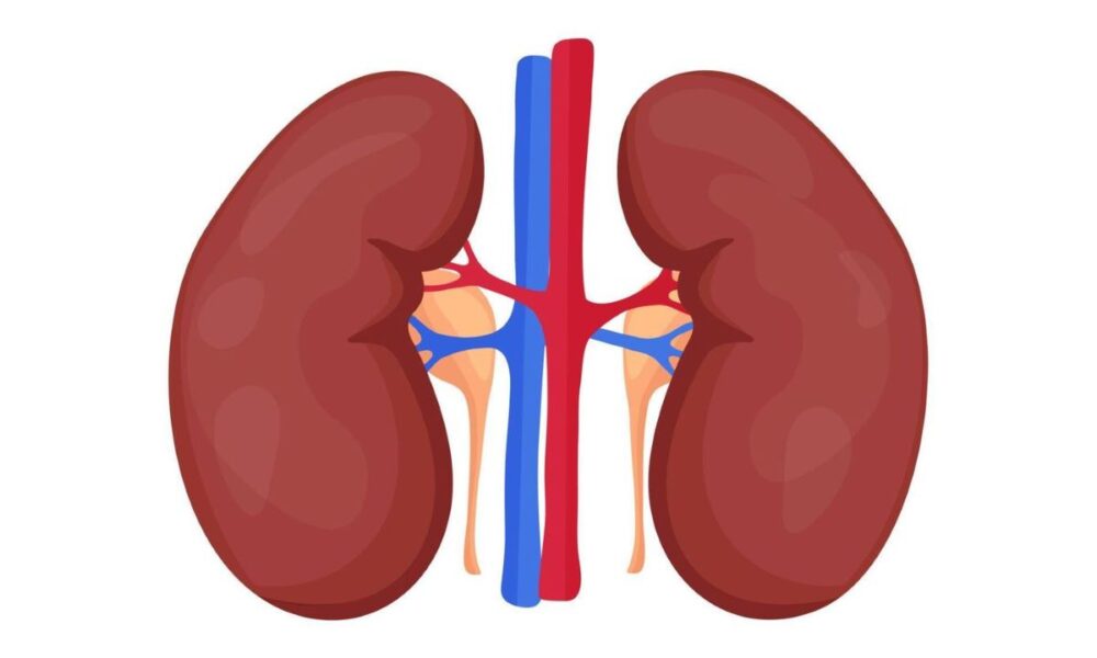 Kidney disease