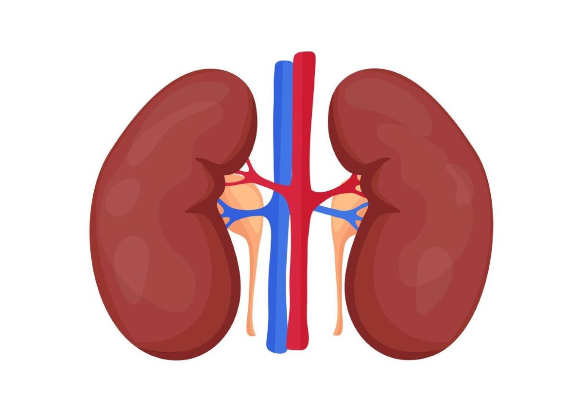 Kidney disease