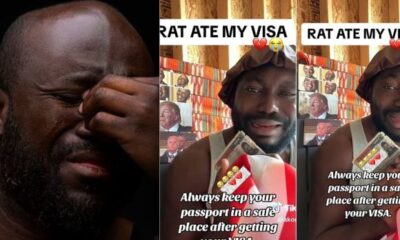 Visa and rat