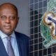 Cardoso on Nigeria's economy