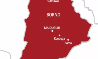 Police arrests female suspects that IEDs in Borno