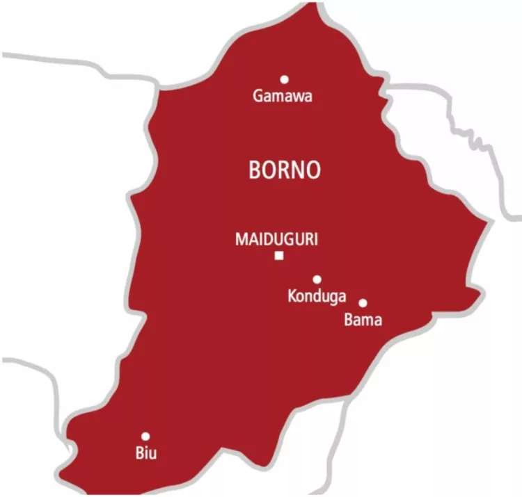 IED in Borno