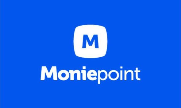 Moniepoint security