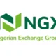 Nigerian Stock Exchange Records