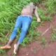 Lifeless body of pregnant woman discovered in Imo